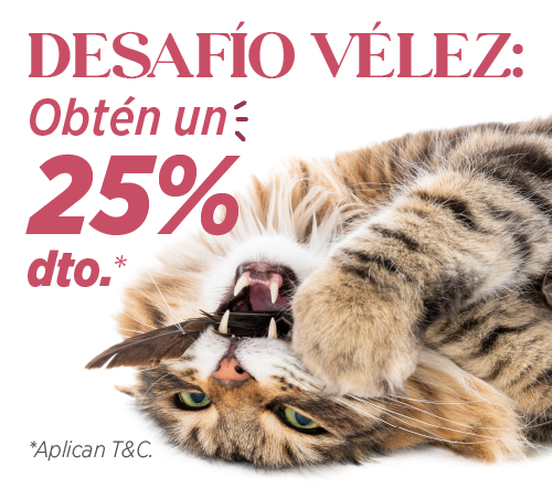home velez pet care 05