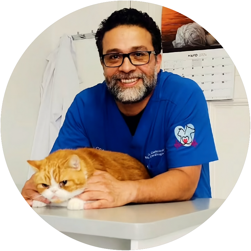 Lili Velez, Medica Veterinaria 1