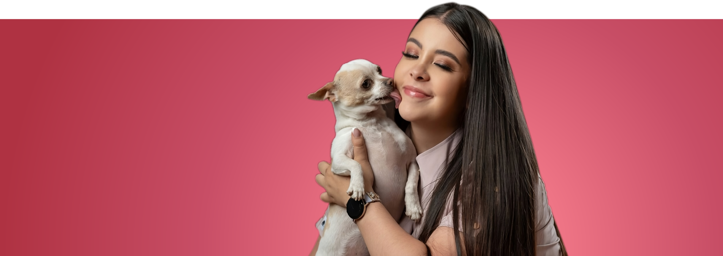 home velez pet care 04